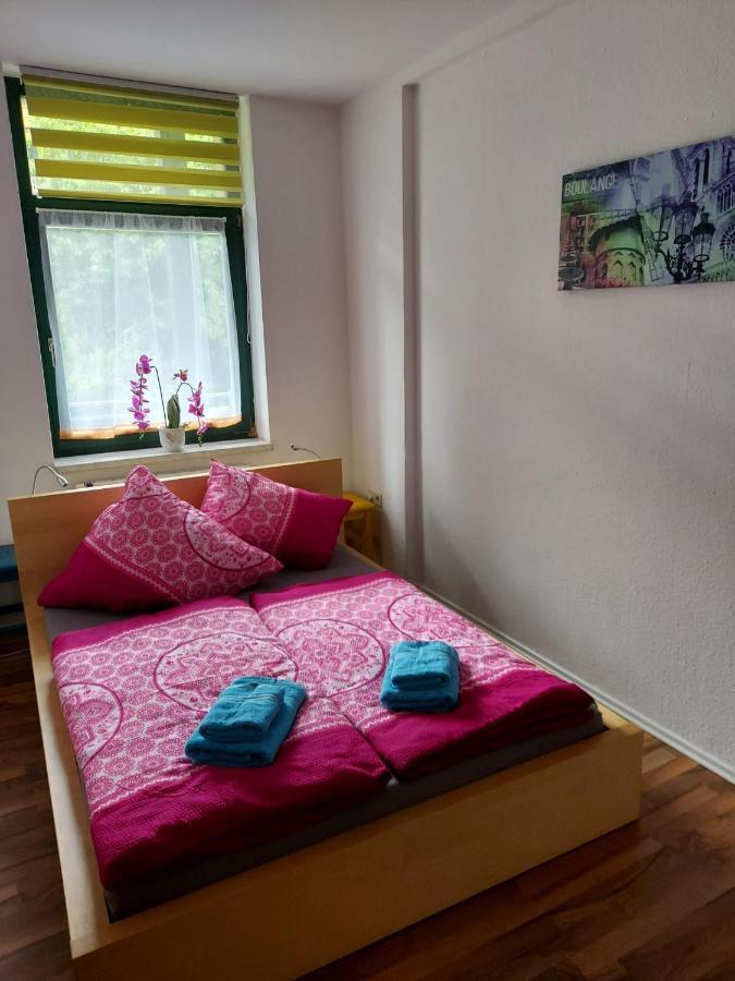 Ferienwohnung Eddi Reichenbach im Vogtland Zewnętrze zdjęcie